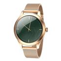 SMARTWATCH FW 44 GOLD