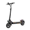 MONOPATTINO ELETTRICO LEWIS PRO II 10" 500W BLACK