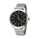 SMARTWATCH FW 44 SILVER