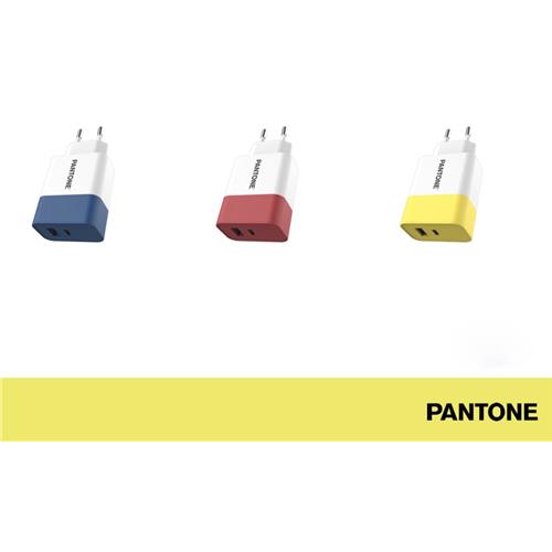 PANTONE CARICA RETE